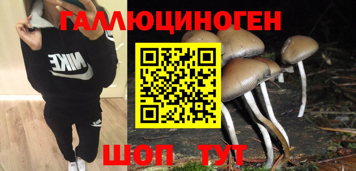 Псилоцибиновые грибы ЛСД  Вход с VPN  Мирный 