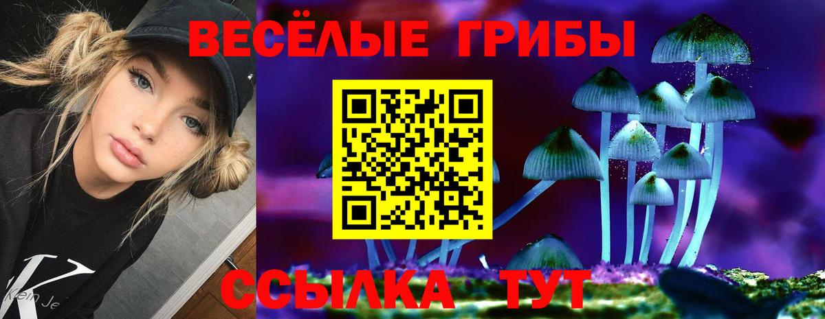 Псилоцибиновые грибы GOLDEN TEACHER Мирный